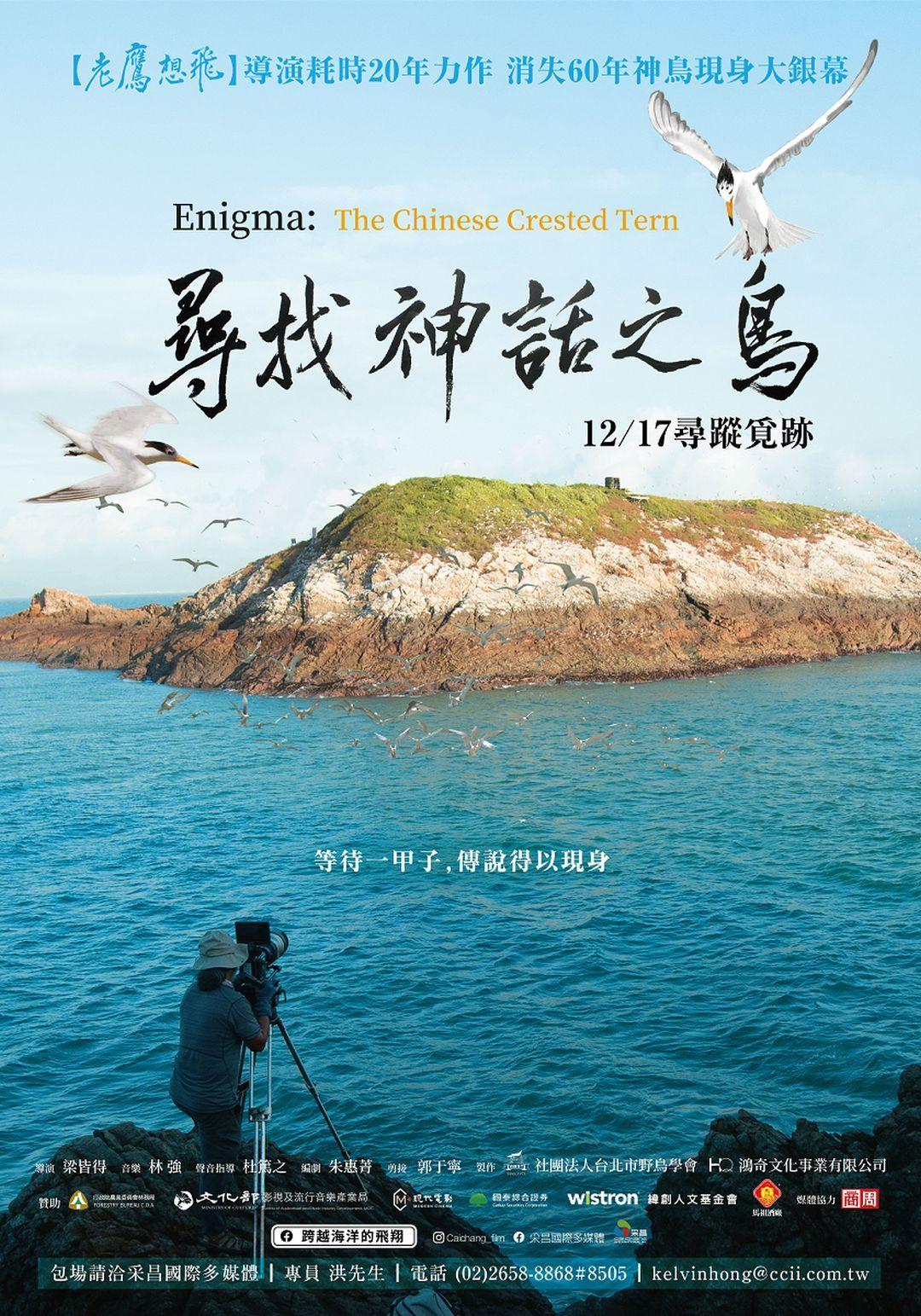 尋找神話之鳥Enigma:The Chinese Crested Tern