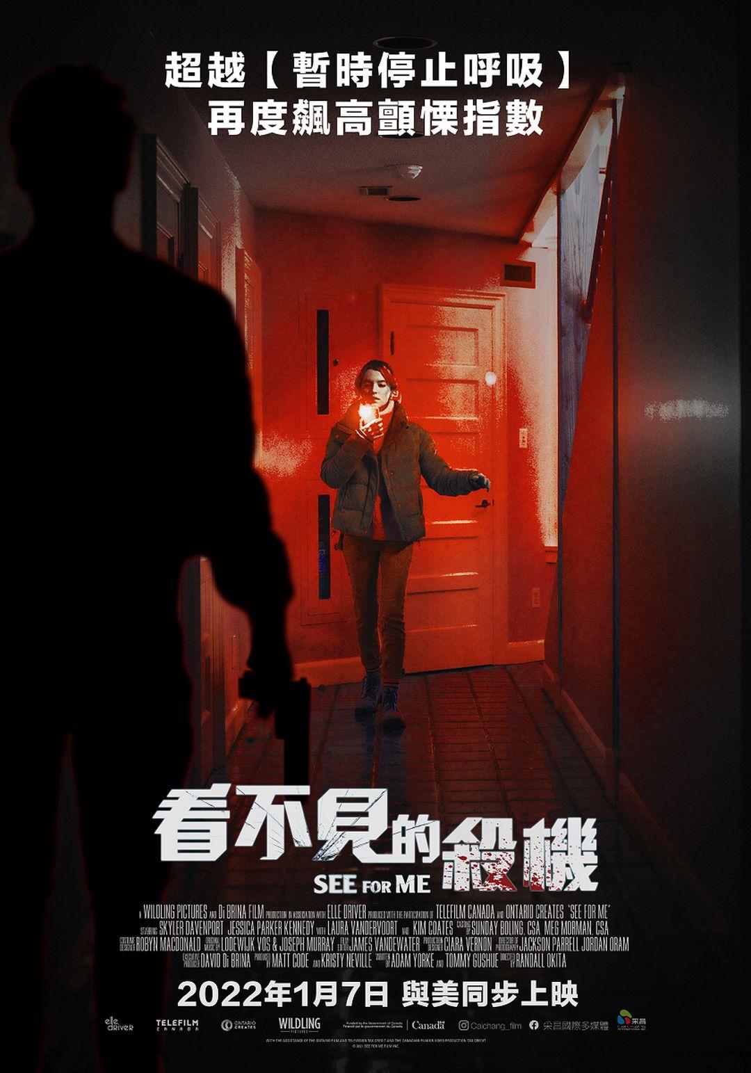 看不見的殺機See for Me