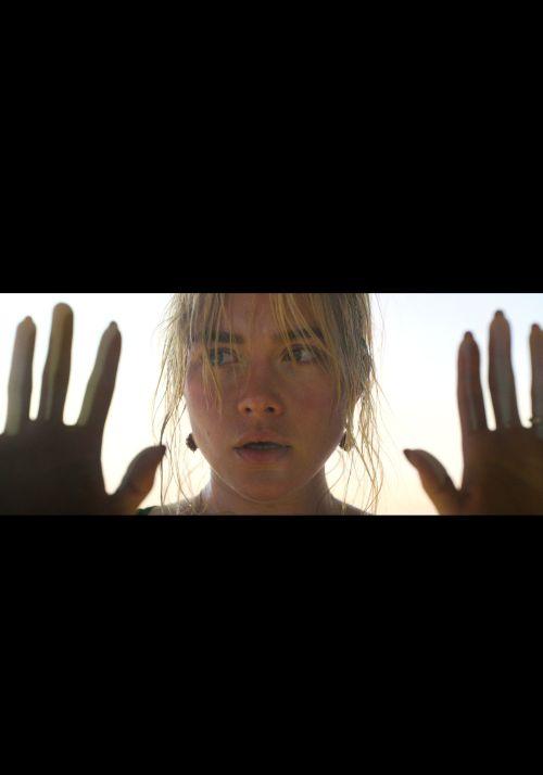 別擔心親愛的Don't Worry Darling