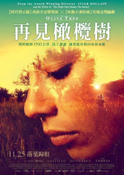 再見橄欖樹The Olive Tree