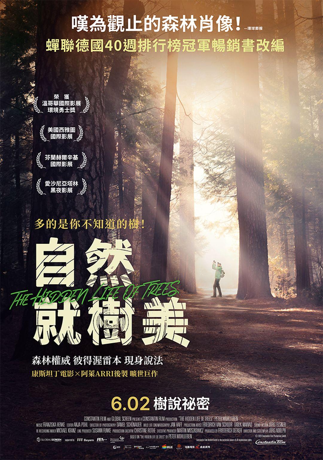 自然就樹美The Hidden Life Of Trees