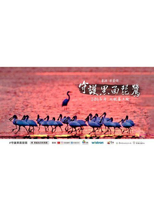 守護黑面琵鷺Caring for Black-Faced Spoonbill