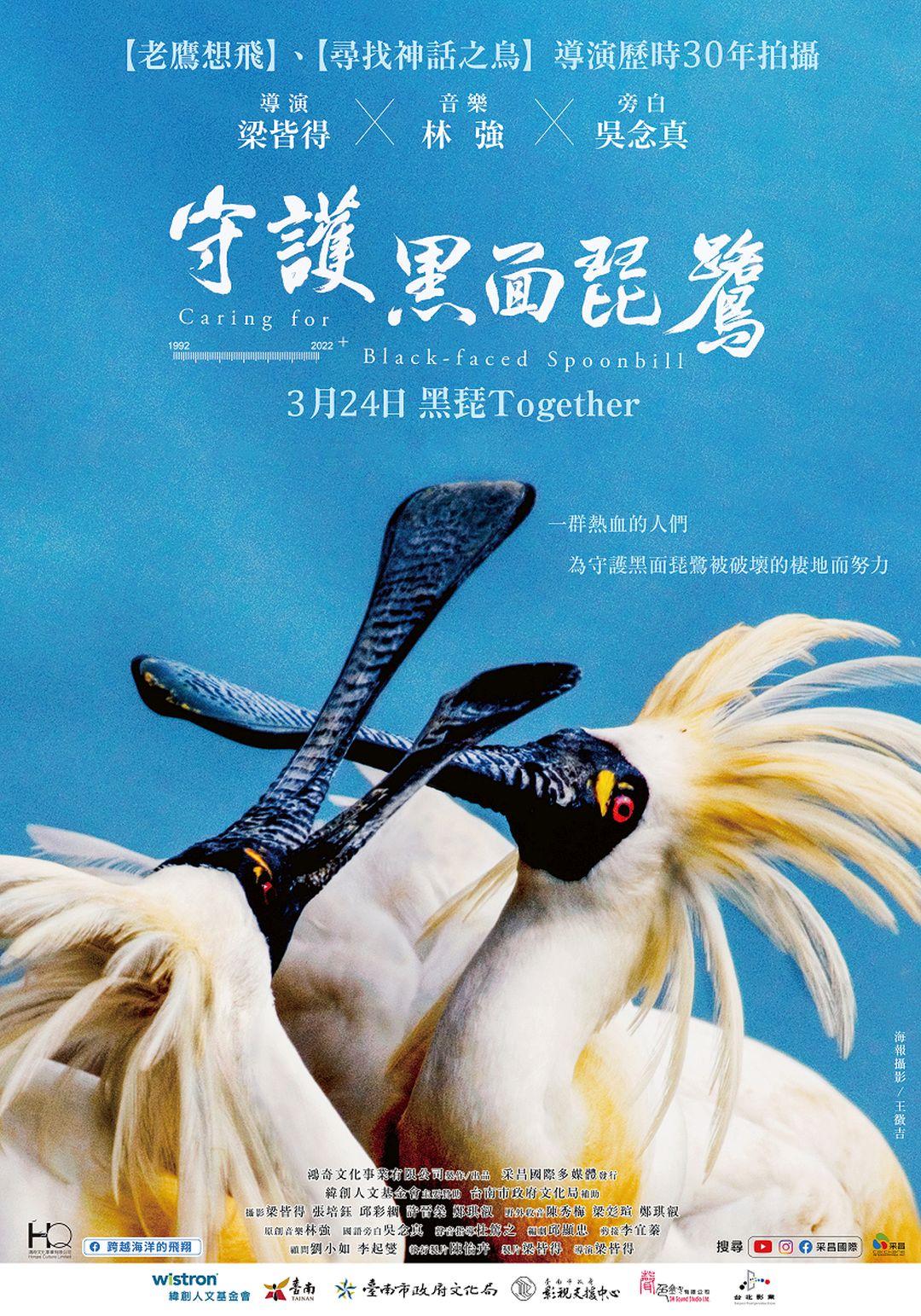 守護黑面琵鷺Caring for Black-Faced Spoonbill